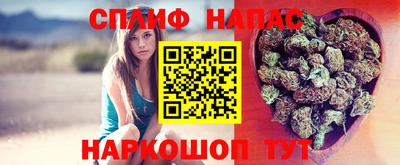 стафф Краснознаменск