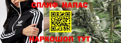 стафф Краснознаменск