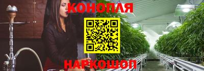 стафф Краснознаменск